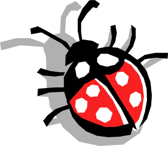 coccinella86