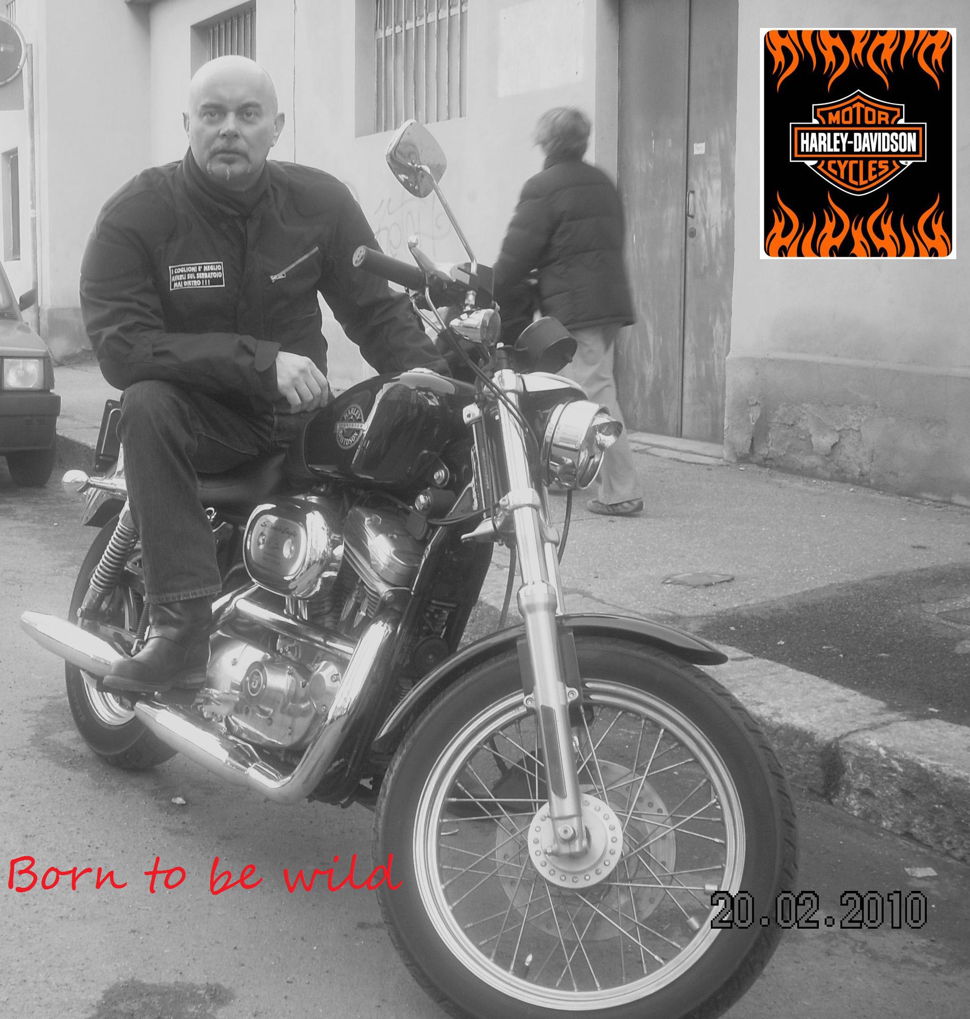 Valter Lucco